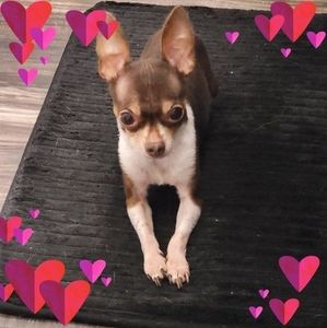 Meet your Posher, Lara